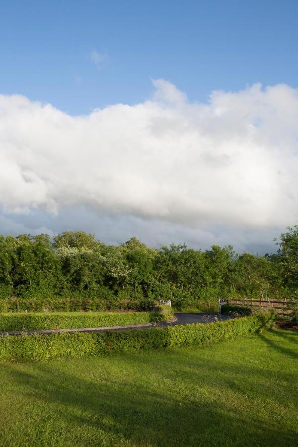 Inviting 4-Bed House In Strokestown Villa Exteriör bild